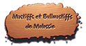 Demolossie, Elevage de mastiffs et bullmastiffs de Molossie